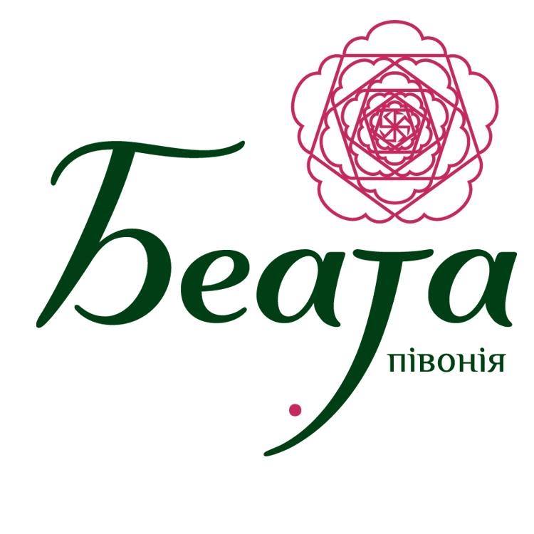 Півонії від Беати